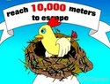 Save A Chicken