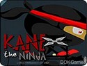 Kane The Ninja Kane The Ninja