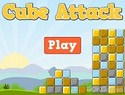 Cube Attack