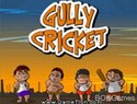 Gully Cricket