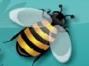 HoneyLand HoneyLand