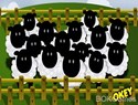 My Sheep My Sheep