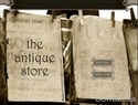 The Antique Store The Antique Store