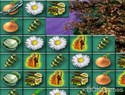 Fairy Nook Game