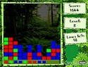 Jungle Crash