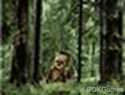 Ewoks