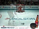 Pro Hockey