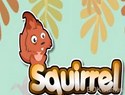 Squirrel&Golden Nut Squirrel&Golden Nut