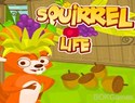 Squirrel Life