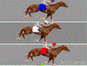Trotter Track Arena Trotter Track Arena