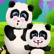 Baby Lisi Newborn Panda Game